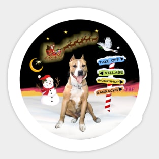 Brown and White PitBull Watches Santa Take Off Sticker